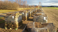 Pallesikkrings nett for mange bruksområder